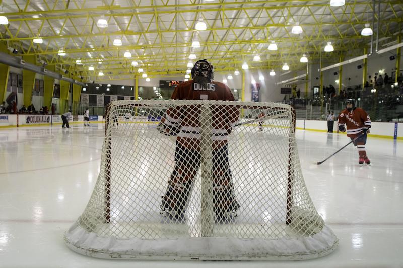 Goaltender Jessica Dodds play this weekend against Mercyhurst helped her team capture a win and a tie.