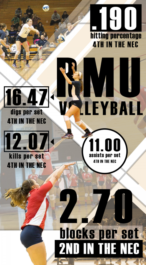 volleyball, infographic