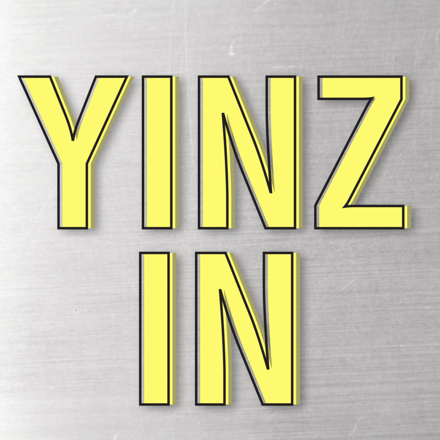 Yinz In-01