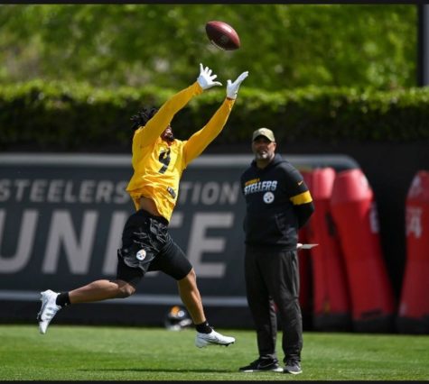 Harville at Steelers camp